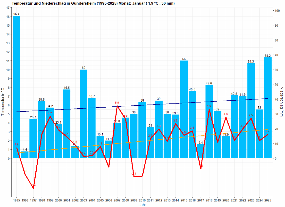 Temperatur und Niederschlag im Januar, Zeitraum: 1995-2024